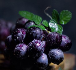 葡萄營養方案