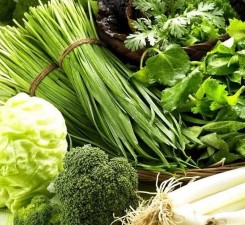 葉菜類營養方案