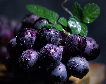 Grape nutrient solution