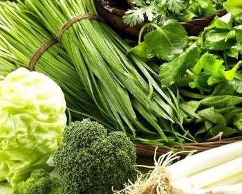 葉菜類營養方案